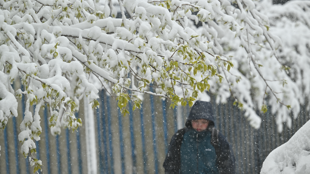 Эксперт назвал плюсы снегопада в апреле в Москве