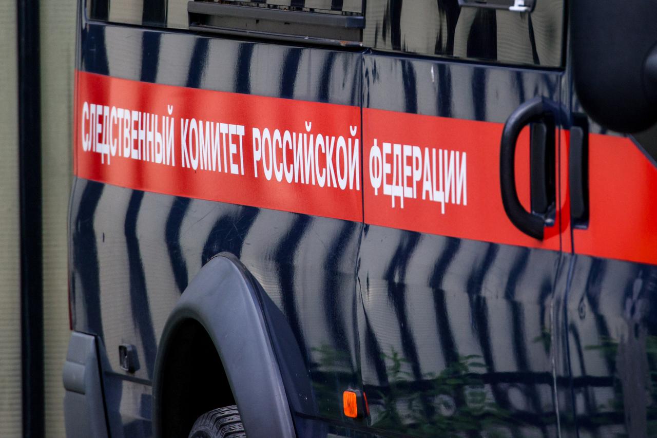 Появились подробности нападения на семилетнюю девочку в Подмосковье