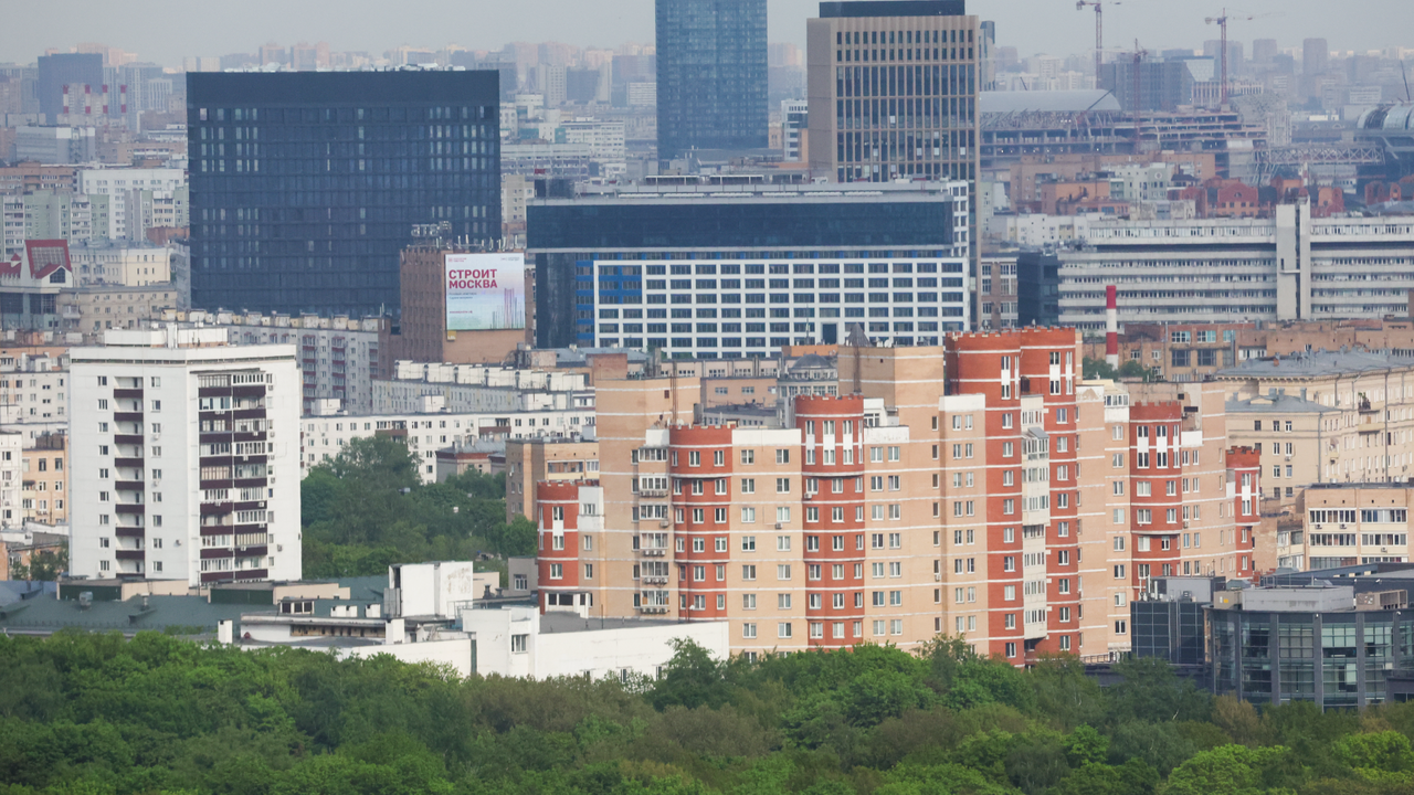 Ученый оценил вероятность появления в Москве опасных насекомых