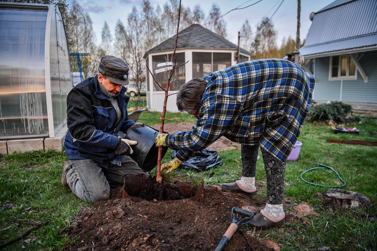 В Подмосковье появится новый праздник