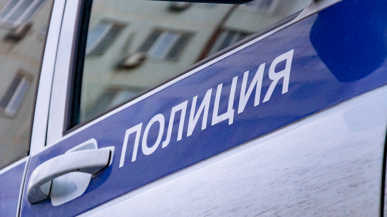 В Москве полицейские помогли беременной женщине добраться до больницы