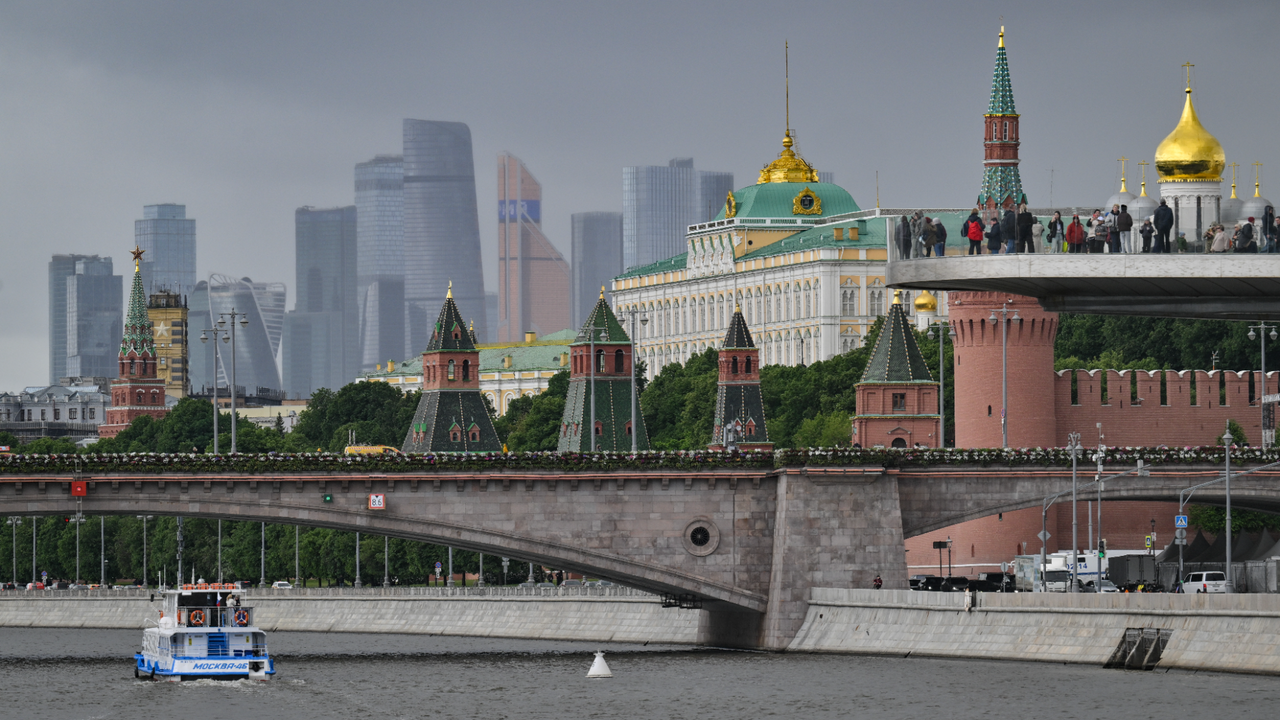 В Москве вырубят американский клен в течение ближайших 10 лет