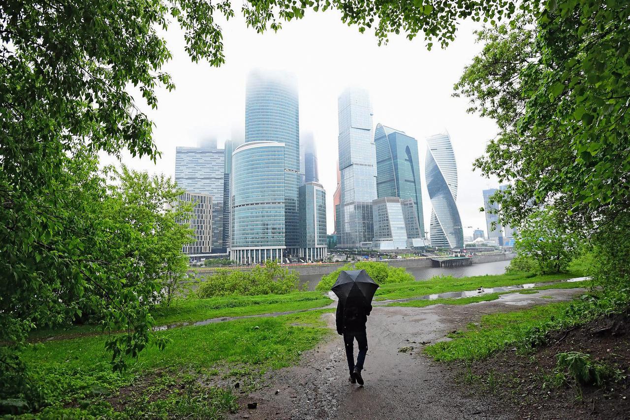 Москвичей попросили не прятаться под деревьями