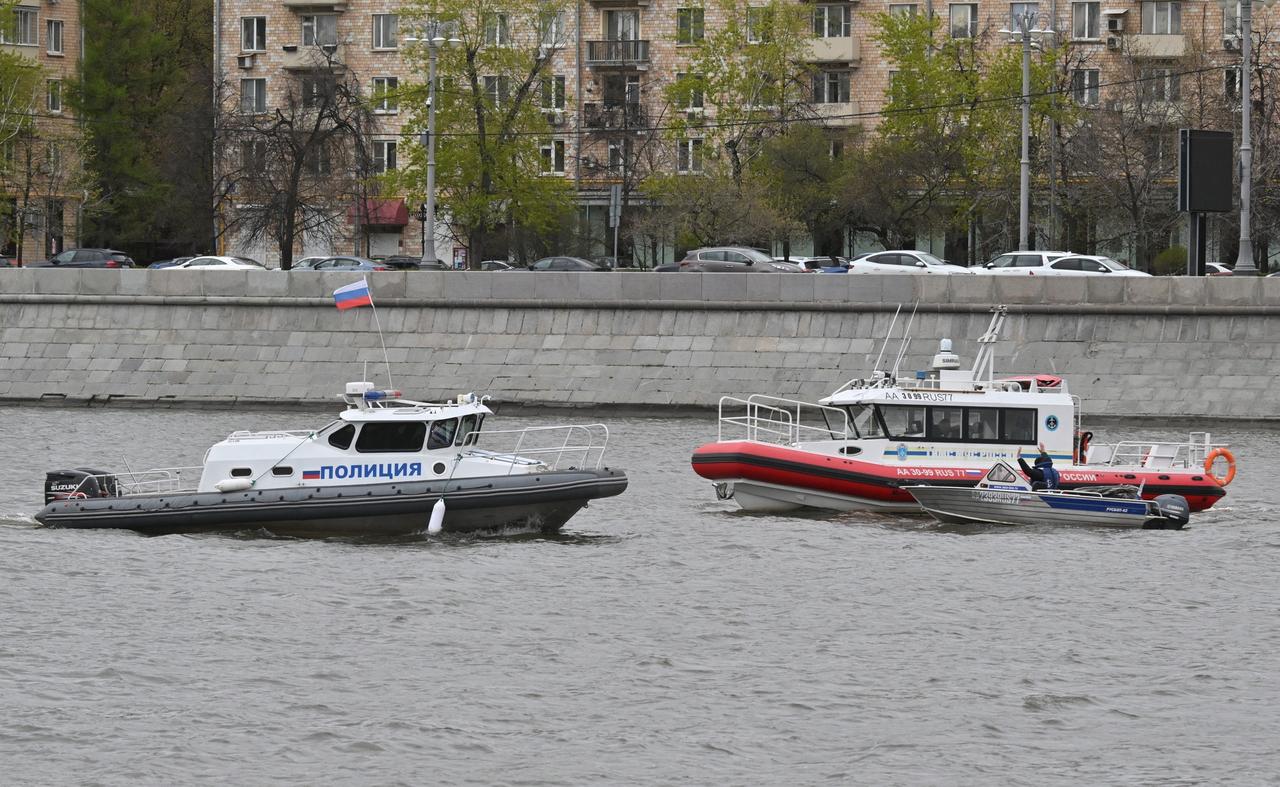 Кот испугался машины и бросился в Москву-реку