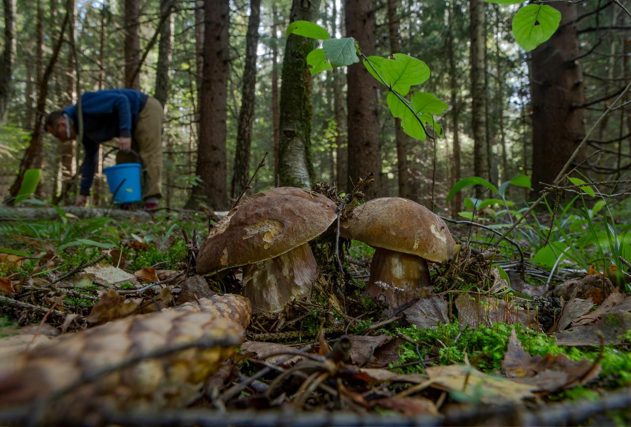 Названы наиболее привлекательные черты осеннего отдыха в России