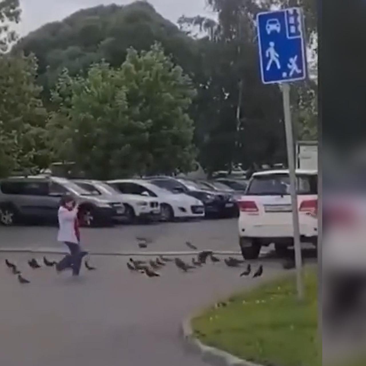 Танцующая «повелительница голубей» попала на видео в Москве - Мослента