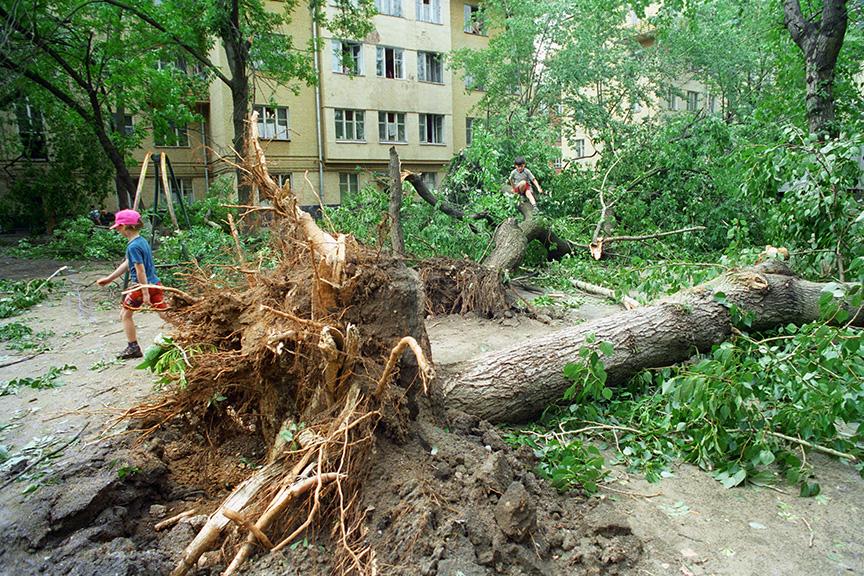 30 июня 1998 г. Московский ураган 1998 года. Ураган в Москве 1998г. Ураган, июнь 1998. 21 Июня 1998 ураган в Москве.