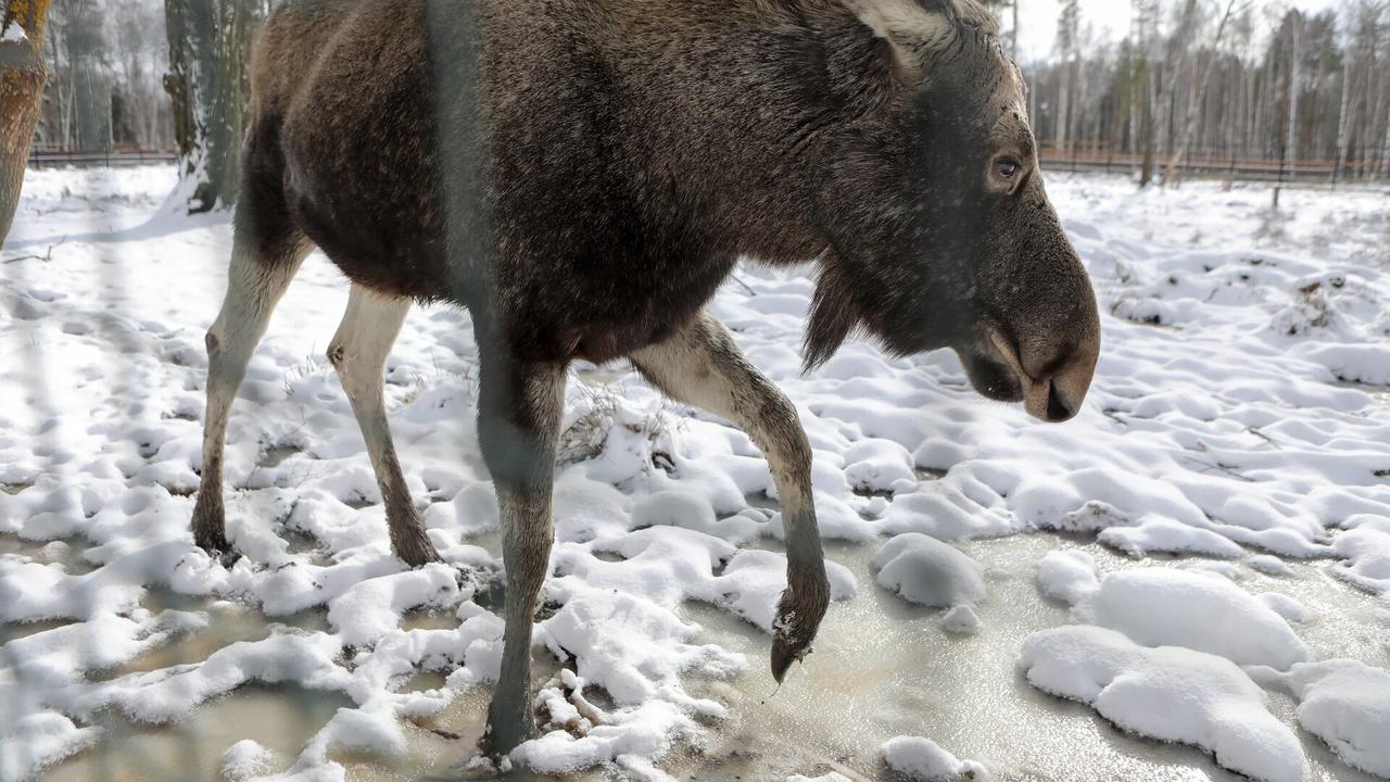 Подземный город, 