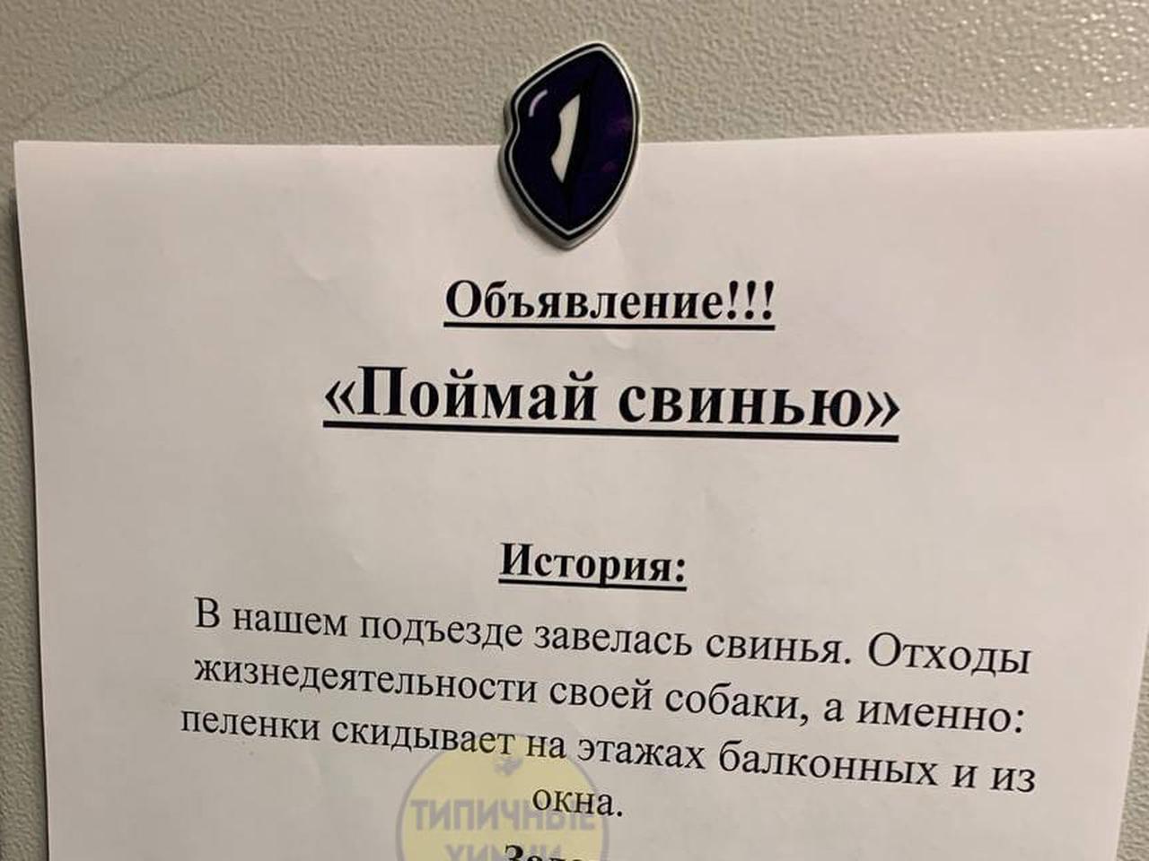 Необычное объявление в лифте подмосковной многоэтажки развеселило россиян -  Мослента