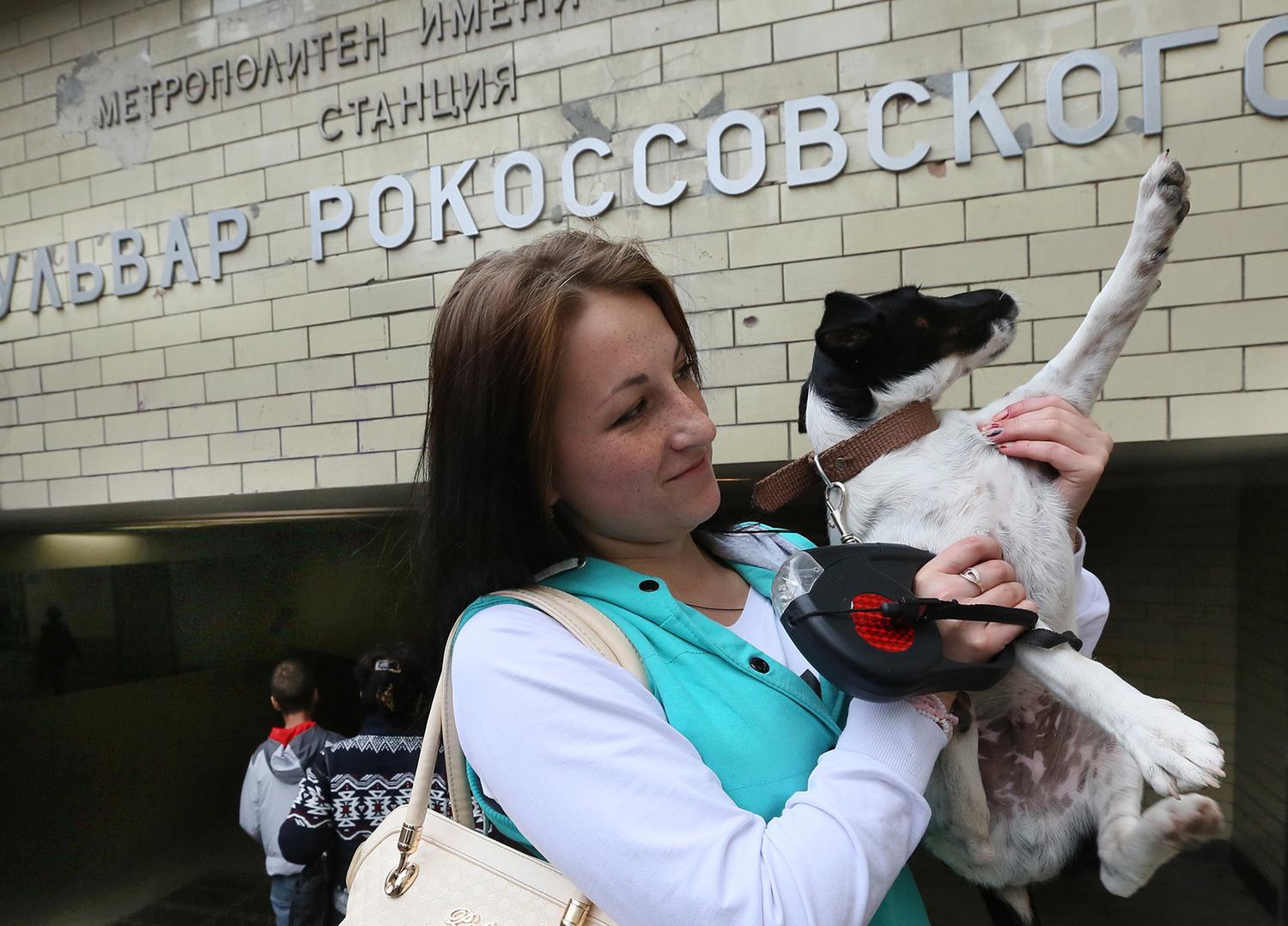 Четыре миллиона человек ограничили в правах»: почему московское метро  запретило провоз собак без переносок - Мослента