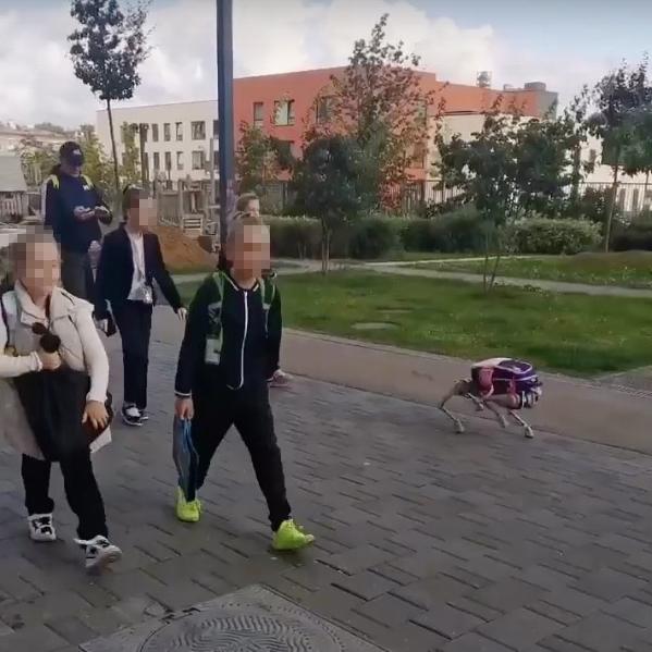 В Москве школьница нашла необычный способ донести портфель в школу