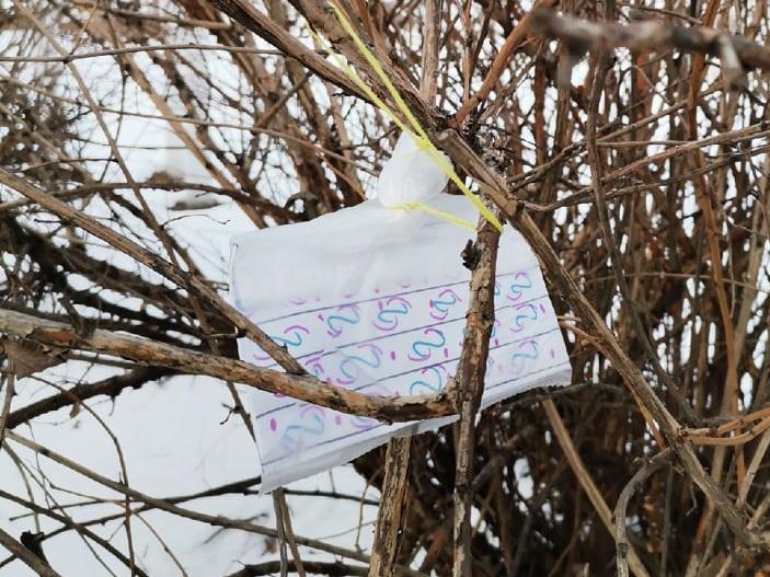 Москвичи начали замечать развешанные на деревьях «шифровки»