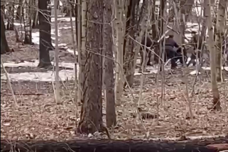 Массовая драка на мечах в московском парке попала на видео