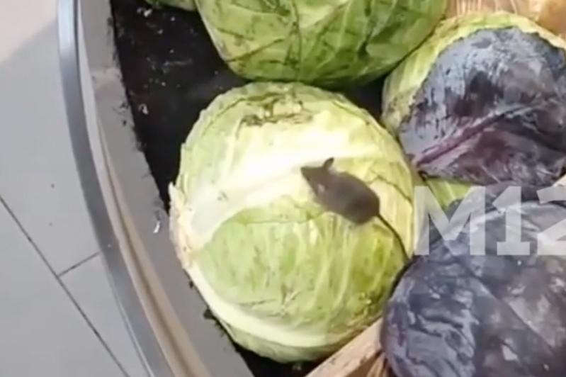 Мышь на прилавке с овощами в столичном супермаркете EuroSpar попала на видео