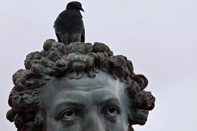 Опубликованы адреса самых известных памятников Пушкину в Москве