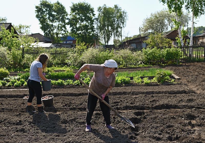 Иммунолог предупредил о смертельно опасных инфекциях в огороде