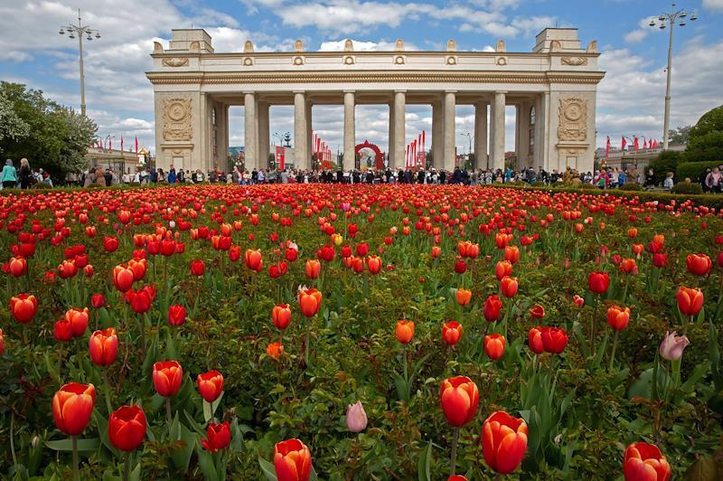 Москвичам раскрыли прогноз погоды на День России