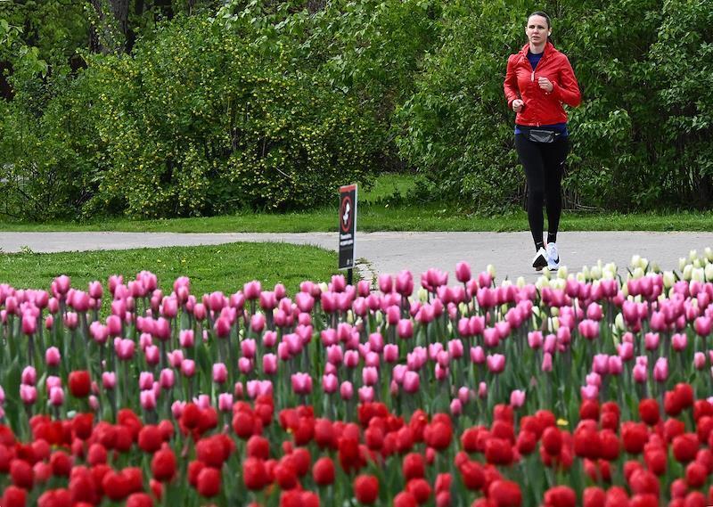 На клумбе заметили объявление с предупреждением о заговоренных цветах