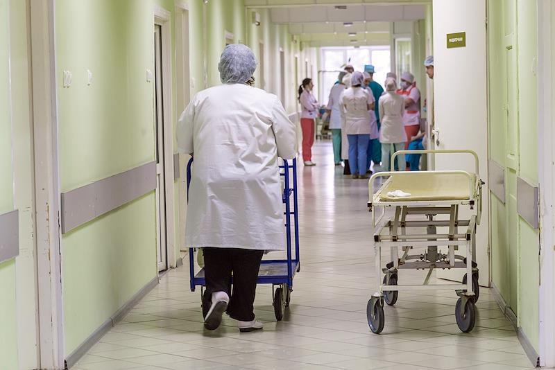 Редкая змея укусила мужчину в Москве