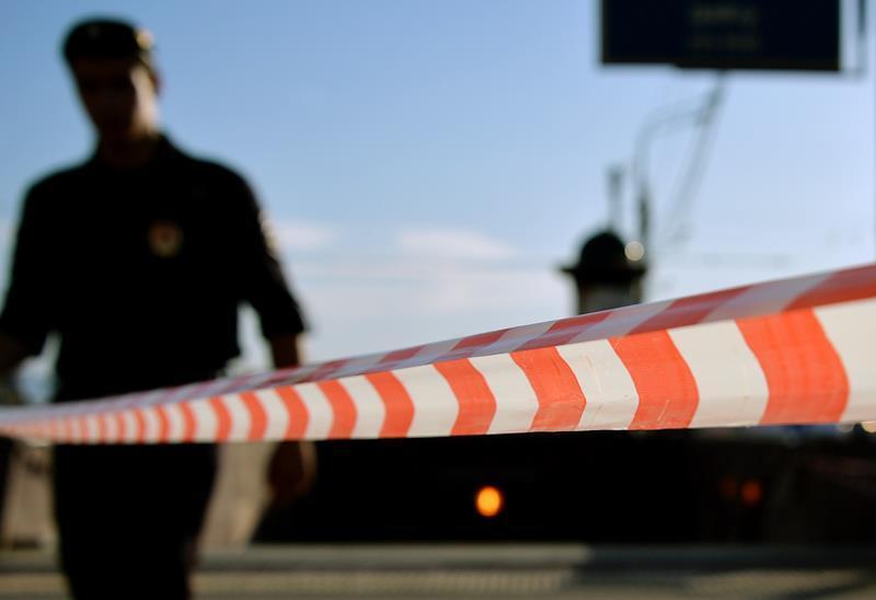 В центре Москвы лошадь ударило током