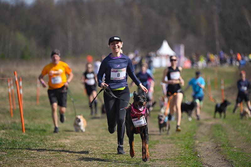 Собачий забег вызвал умиление у россиян. Хозяева бежали с питомцами на руках