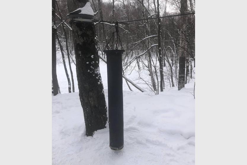 Рассекречена тайная площадка для бокса в Тропаревском парке