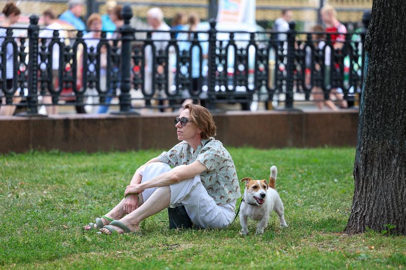 «К фейерверкам и пылесосу щенков надо приучать». Какова собачья жизнь в большом городе и почему площадки для животных нужно переделать