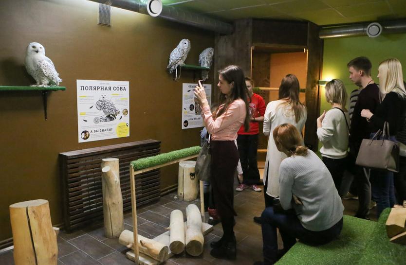 Антикафе «Совиный дом» в Москве