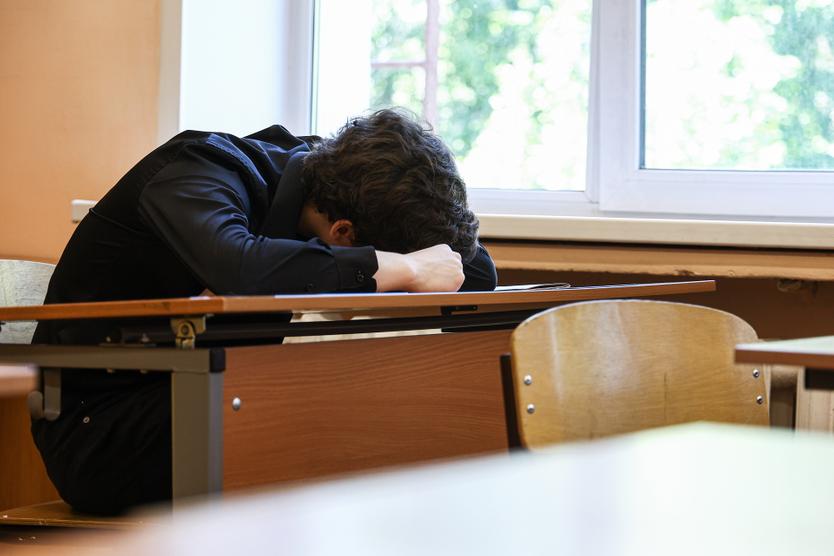 Раньше в школах проверяли только документы, подтверждаающие, что семья пребывает в России легально