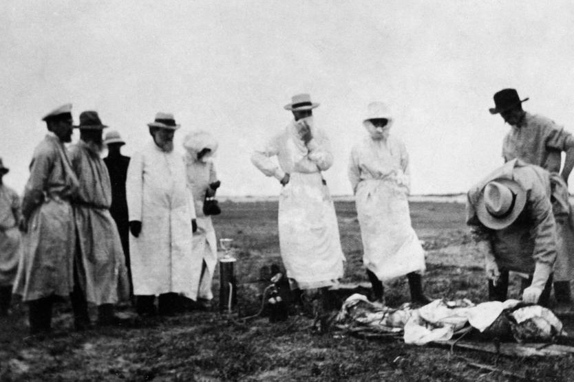 Чума в Маньчжурии