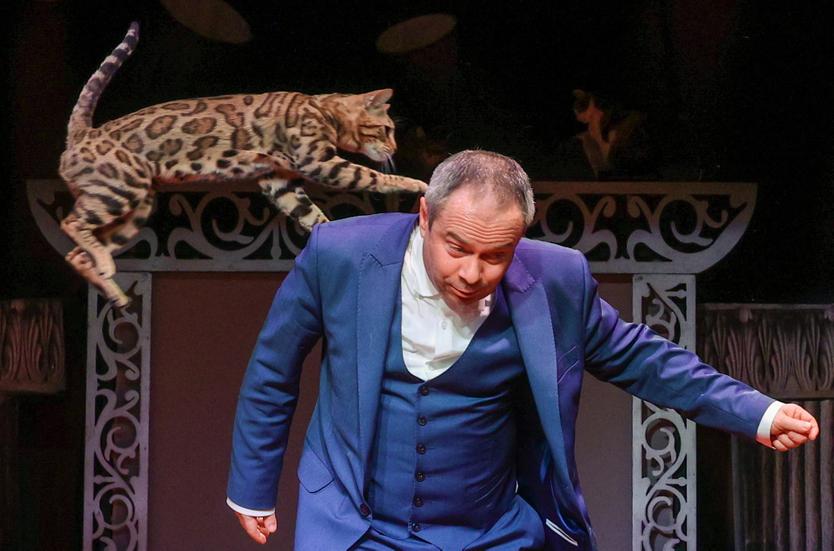 Художественный руководитель Театра кошек Куклачева Дмитрий Куклачев во время выступления с кошкой в Театре кошек Юрия Куклачева