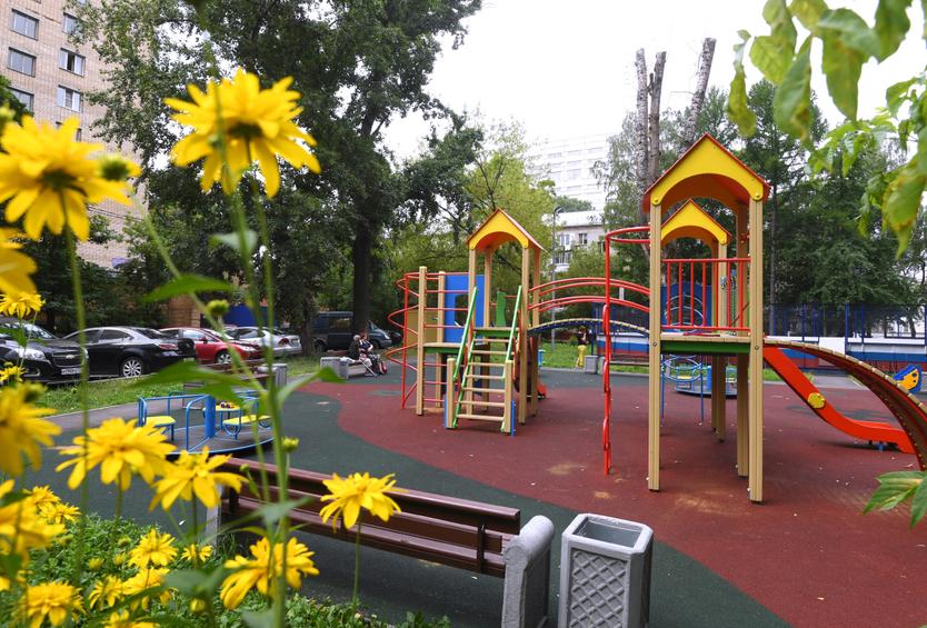 Цветочные воришки довели до отчаяния