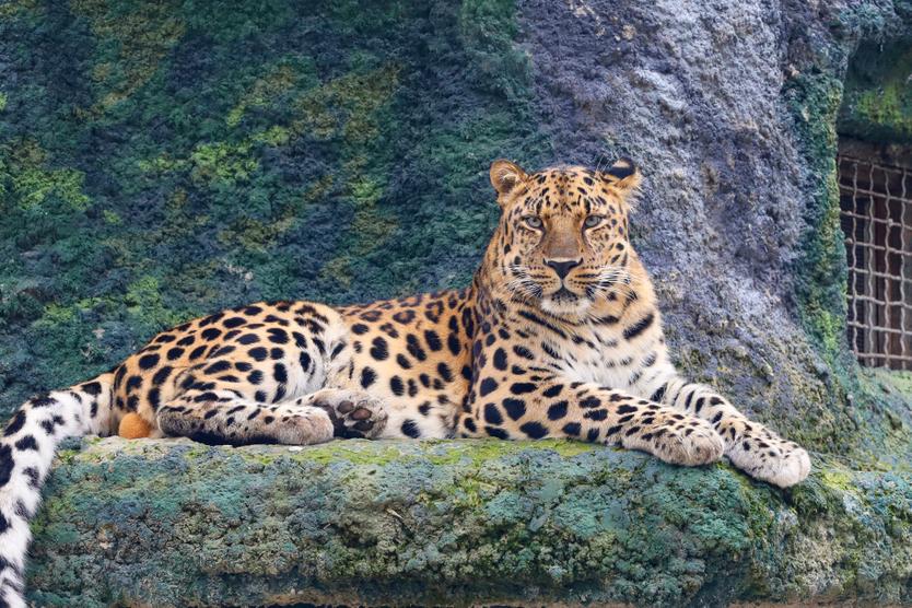 Вышли в онлайн.