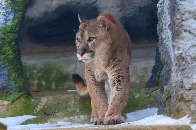 Вышли в онлайн.