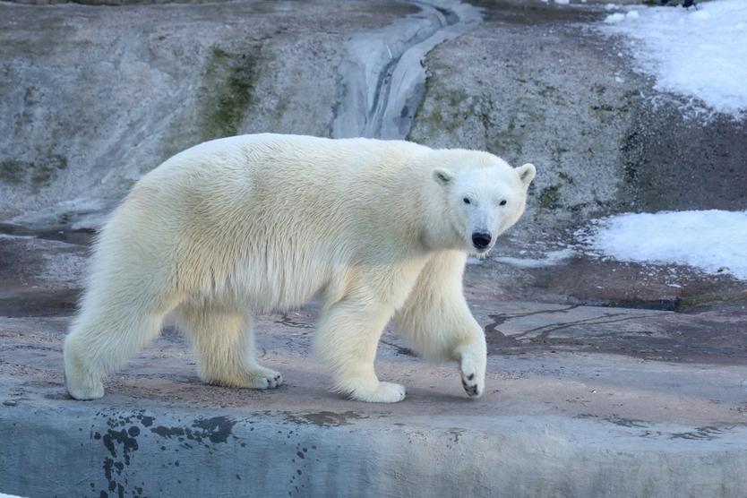 Вышли в онлайн.