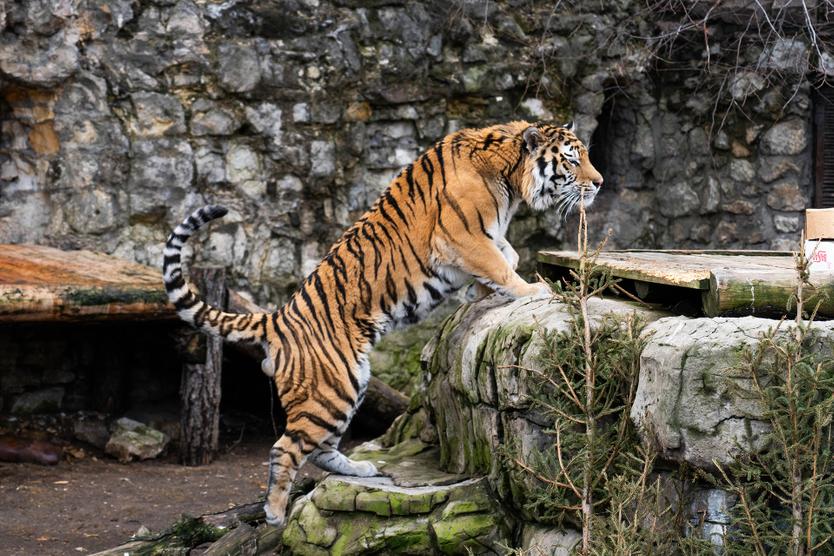 Вышли в онлайн.