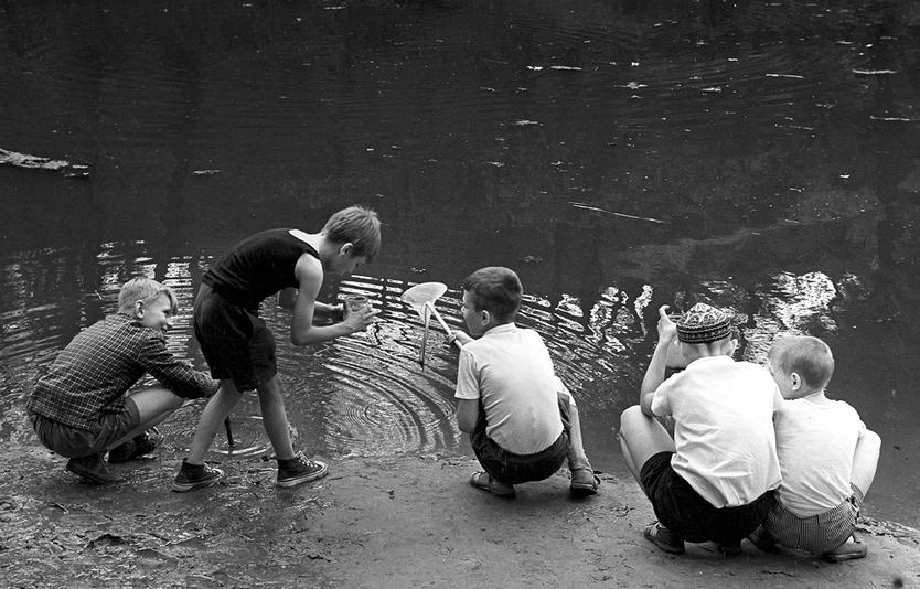 Дети у воды, 1963 год