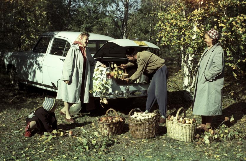 Горожане в подмосковном лесу после удачной «грибной охоты»
