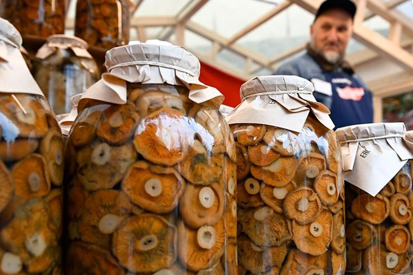 Россиян предупредили о смертельной опасности домашних заготовок