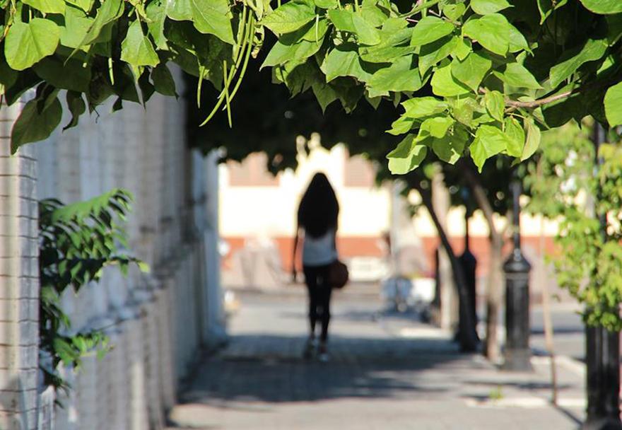 Назван самый простой способ найти жилье в одном из южных городов России