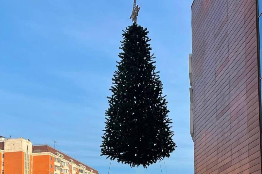 На московской площади заметили «летающую» елку