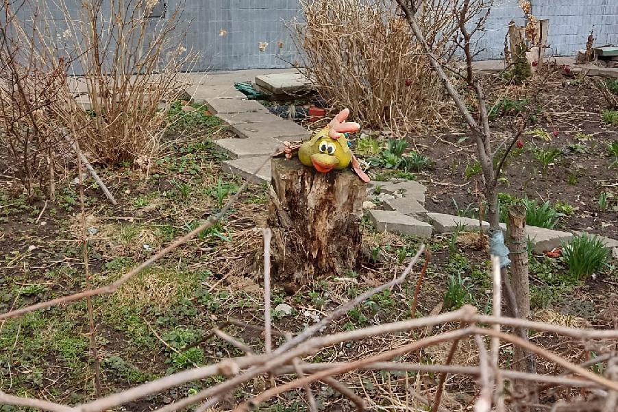 Москвичи поспорили о плюшевых украшениях столичных дворов