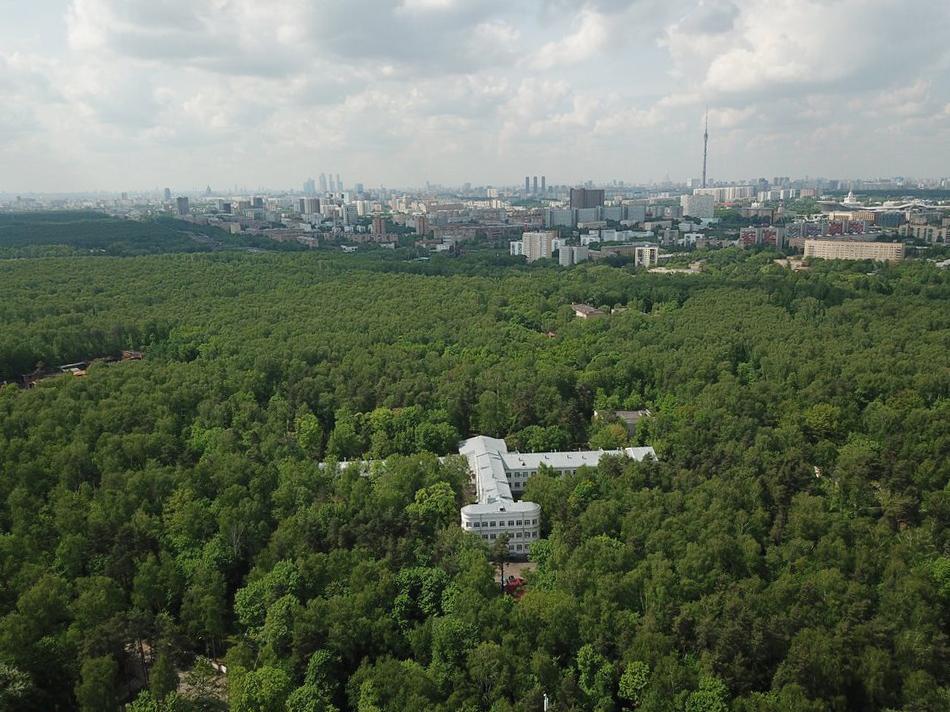 Собянин отреагировал на информацию о застройке «Лосиного острова»