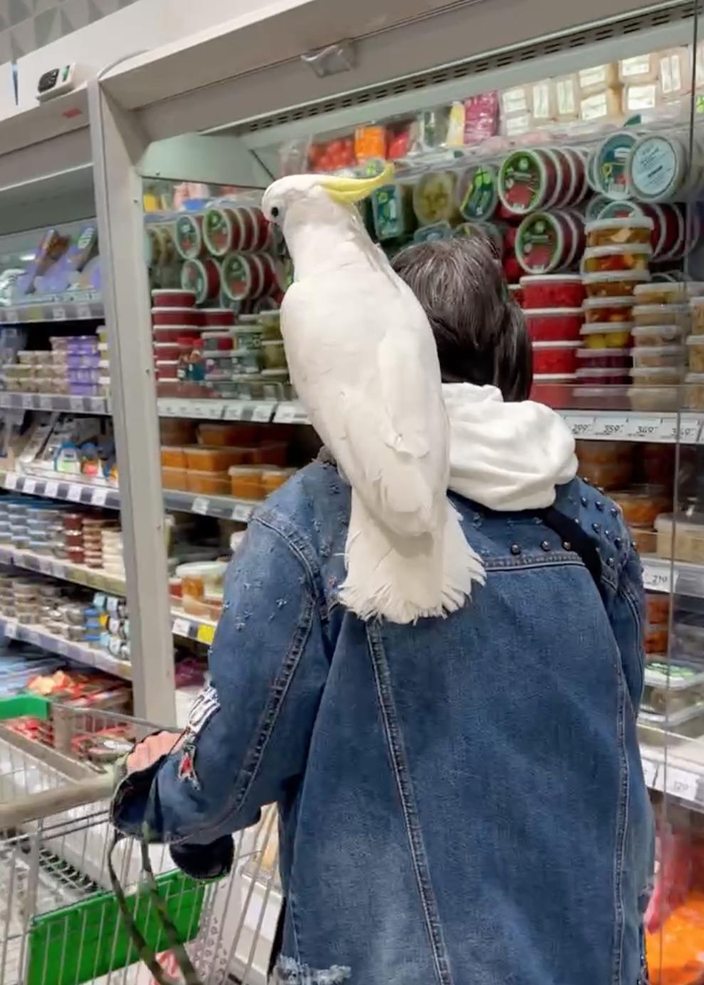 Пенсионерку-«пирата» заметили в столичном ТЦ